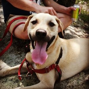 Meet your Posher, Amelia